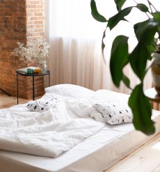 white-bed-minimalistic-interior-inside-backgrou-2024-11-27-22-35-47-utc (1)